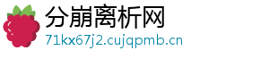 分崩离析网
